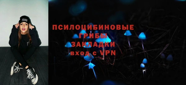 apvp Аркадак
