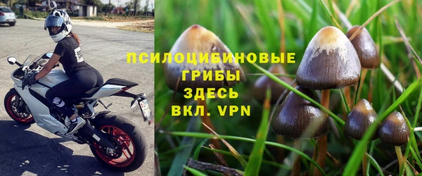 apvp Аркадак