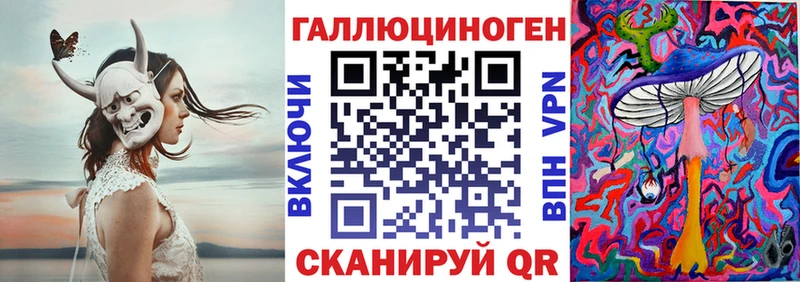 магазин    Малоярославец  Галлюциногенные грибы Psilocybine cubensis 
