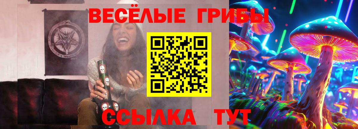 Галлюциногенные грибы Cubensis  Вход с VPN  Малоярославец  Псилоцибиновые грибы Psilocybine cubensis 